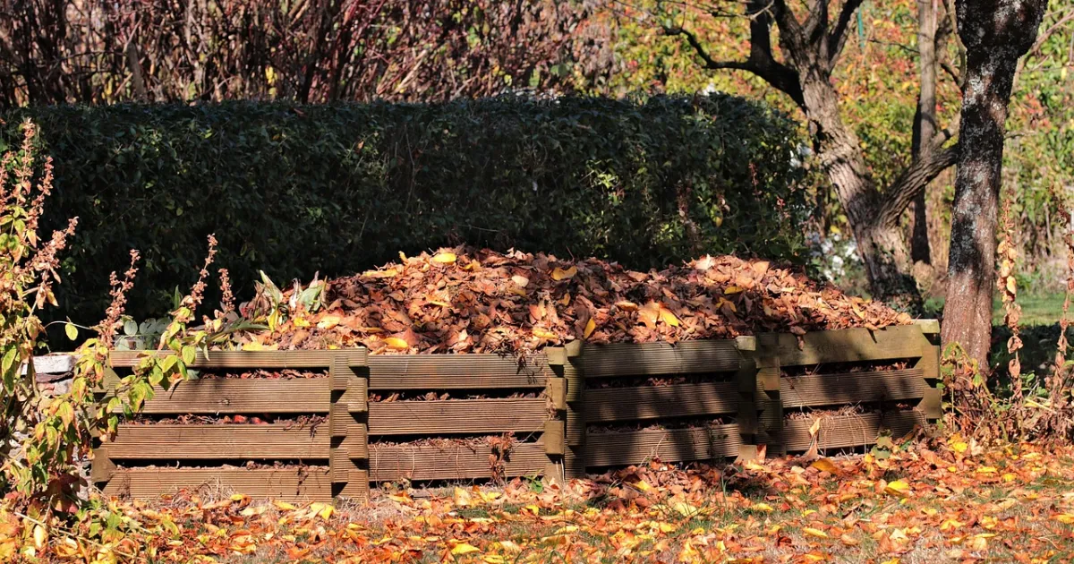 Composting at School: A Simple Guide for Teachers and Kids